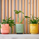 Ceramic Planters I Be-Leaf In You Gifts and Accessories Annabel Trends