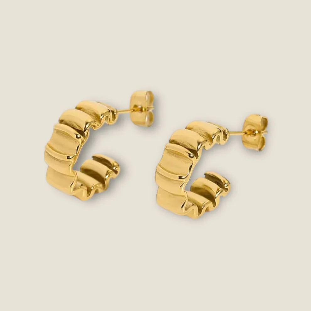 Aurelia Textured Hoops Earrings Denvi
