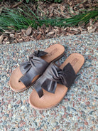 Brie Shoes Cafe - Global Free Style
