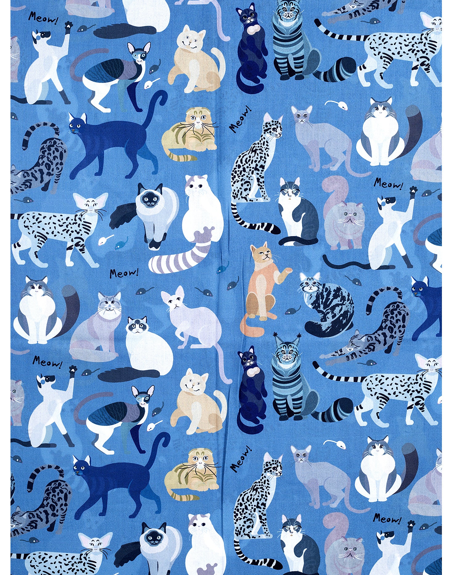 Cat Scarf Blue Scarves and Sarongs Ivys   