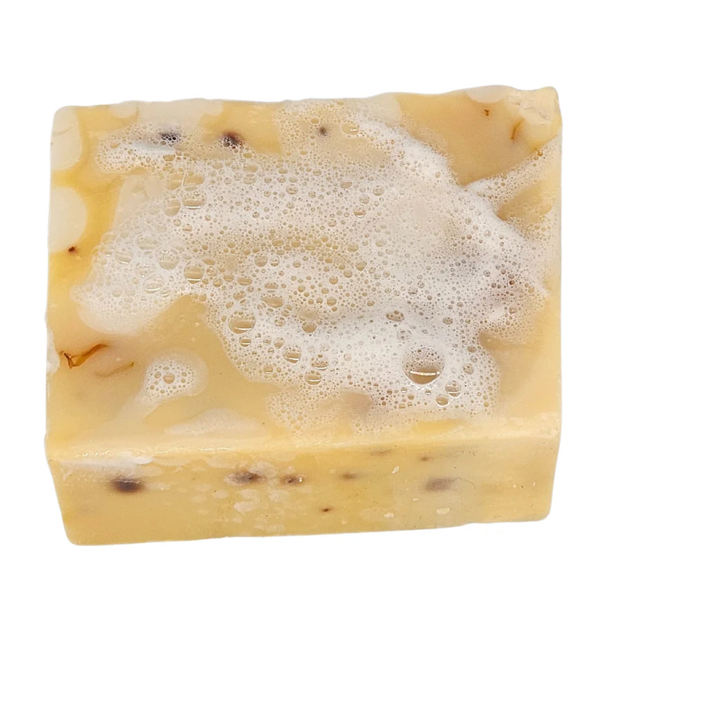 Bloke & Sheilas Soap infused with Crocodile Oil Body Dr Croc   