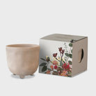 Botanical Candle - Flume (Blush) Gifts and Accessories Myrtle & Moss