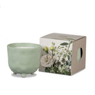 Botanical Candle - Forest (Green) Gifts and Accessories Myrtle & Moss