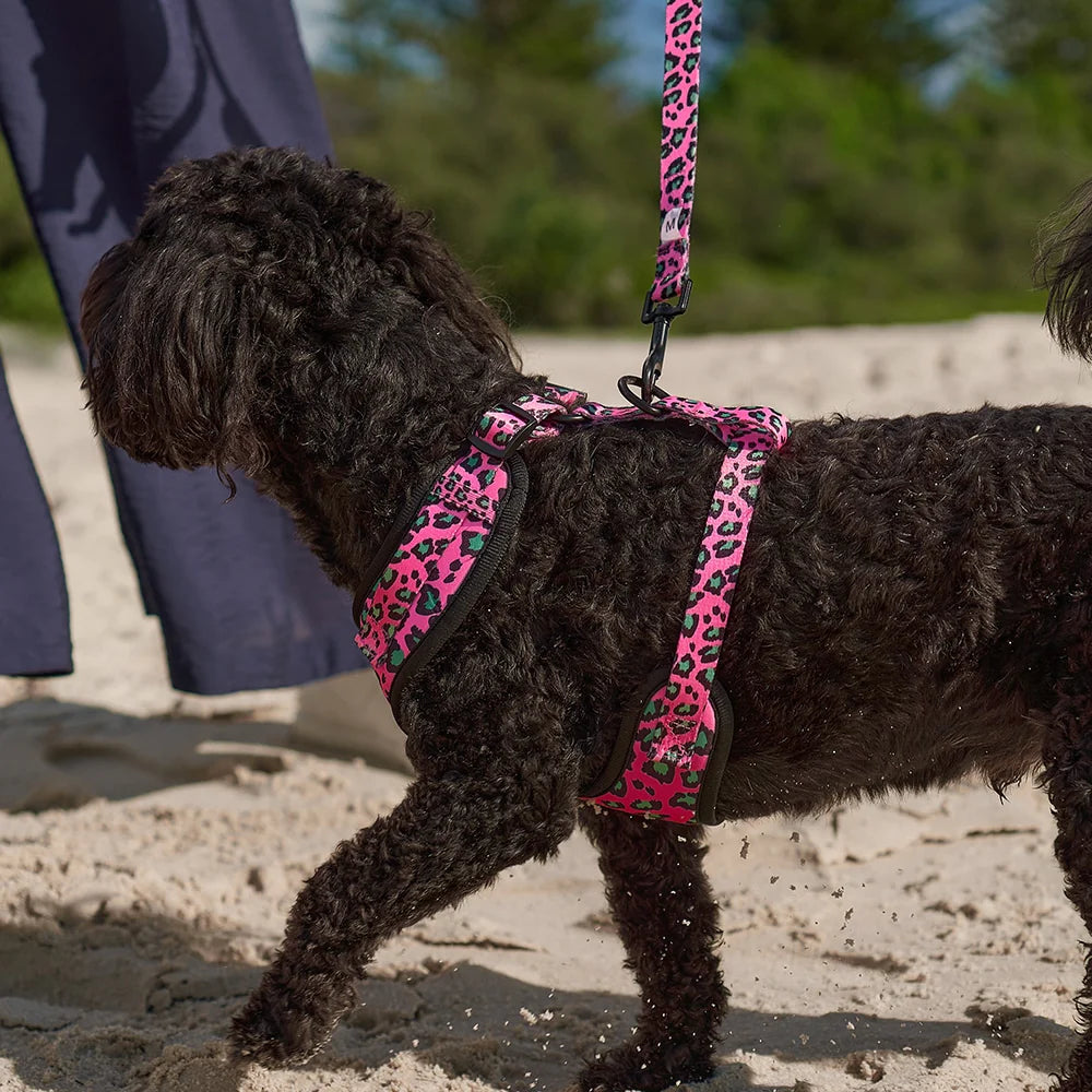 Hot Dog - Harness - Pink Ocelot Gifts and Accessories Annabel Trends   