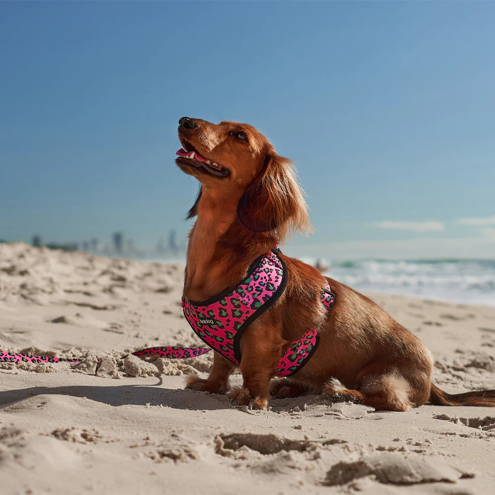 Hot Dog - Harness - Pink Ocelot Gifts and Accessories Annabel Trends   