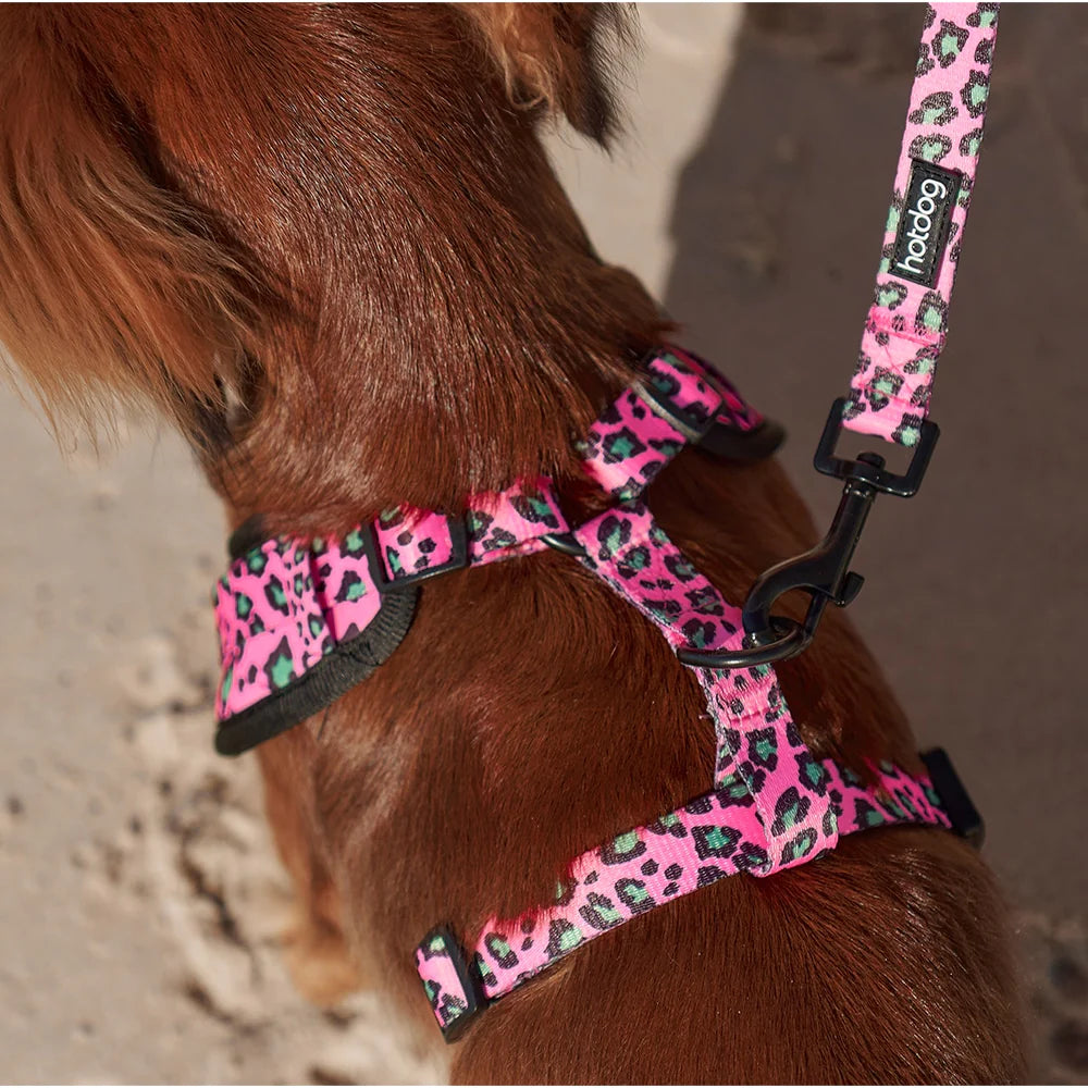 Hot Dog - Harness - Pink Ocelot Gifts and Accessories Annabel Trends   