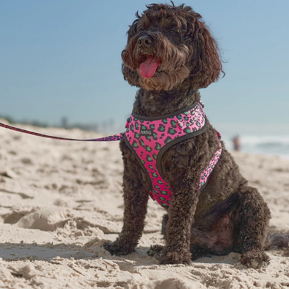 Hot Dog - Harness - Pink Ocelot Gifts and Accessories Annabel Trends   