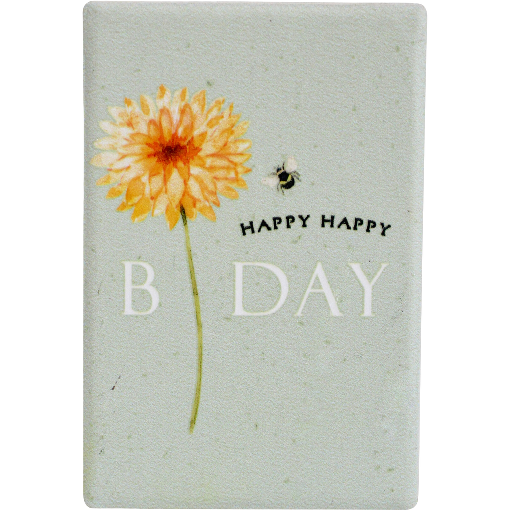 Magnet Birthday Gifts and Accessories Lavida   