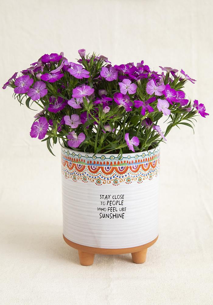 Artisan Planter Stay Close To People Who Feel Like Sunshine Gifts and Accessories Natural Life