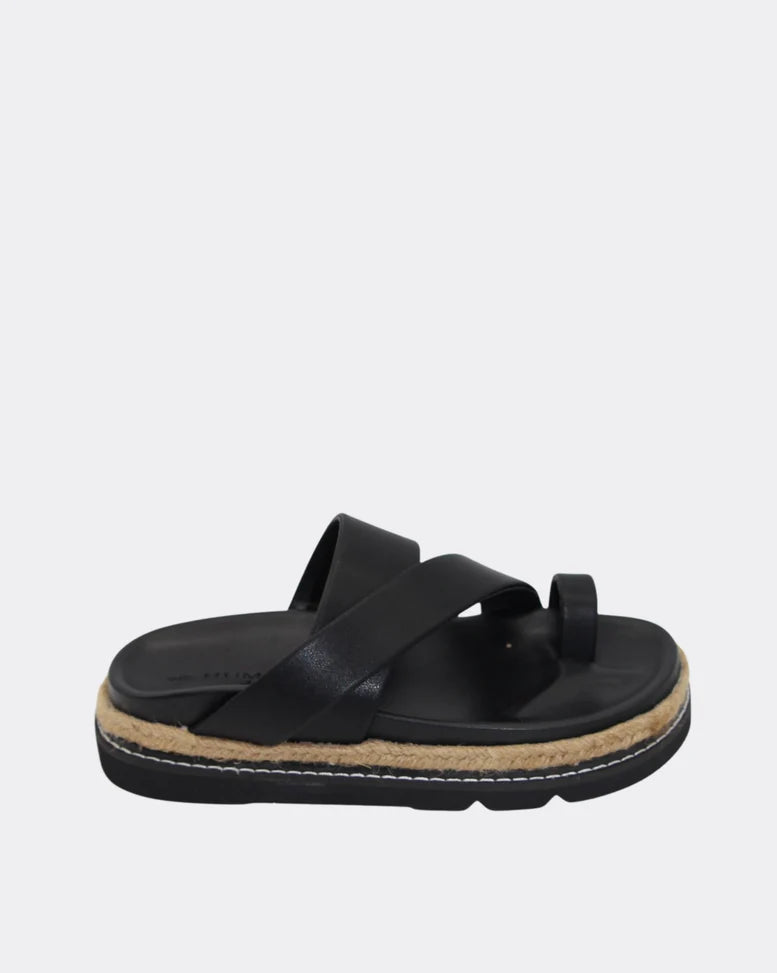 Poppy Shoe Black Shoes Human Premium