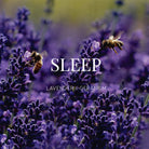 Sleep Shower Steamer Body Wild Emery