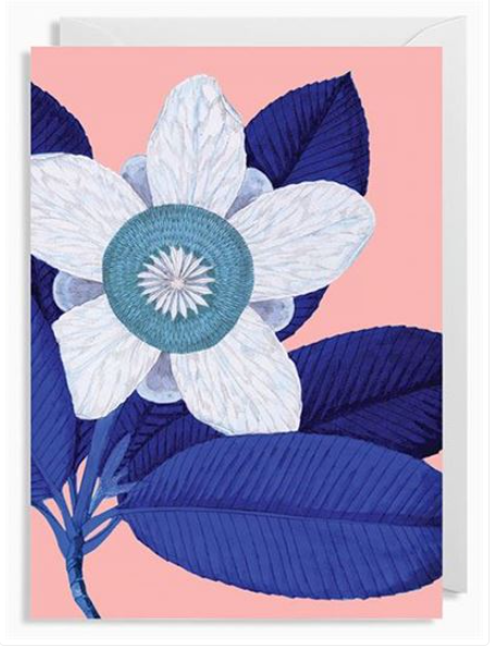 Elephant Apple Card Cards and Wrap Waterlyn