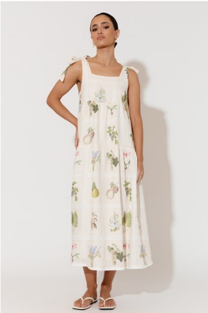 Noah Botanical Belle Dress Print Dresses Adorne   