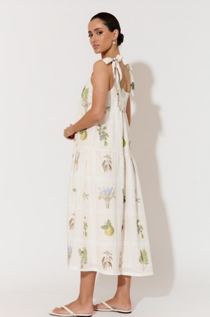 Noah Botanical Belle Dress Print Dresses Adorne   