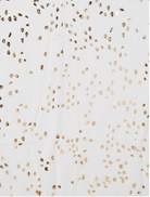 Scarf SC1965 CREAM Scarves and Sarongs Ivys