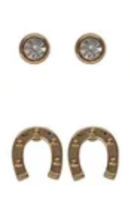Sprinkles Horseshoe & Bord Cz Post Earring Gold/Clear Earrings Fabienne