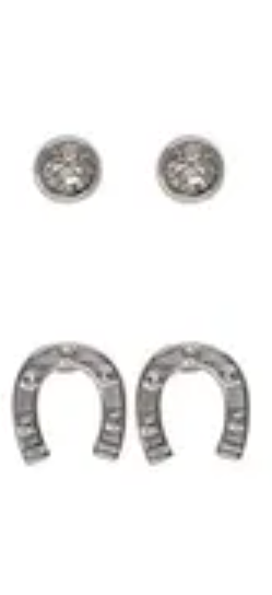 Sprinkles Horseshoe & Bord Cz Post Earring Silver/Clear Earrings Fabienne