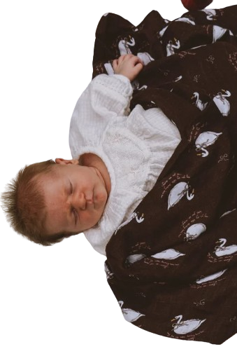 Swan Swaddle Gifts and Accessories Jollou