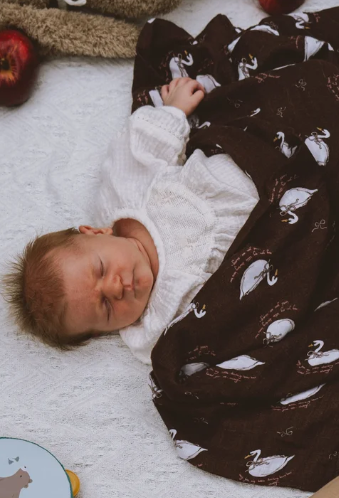 Swan Swaddle Gifts and Accessories Jollou