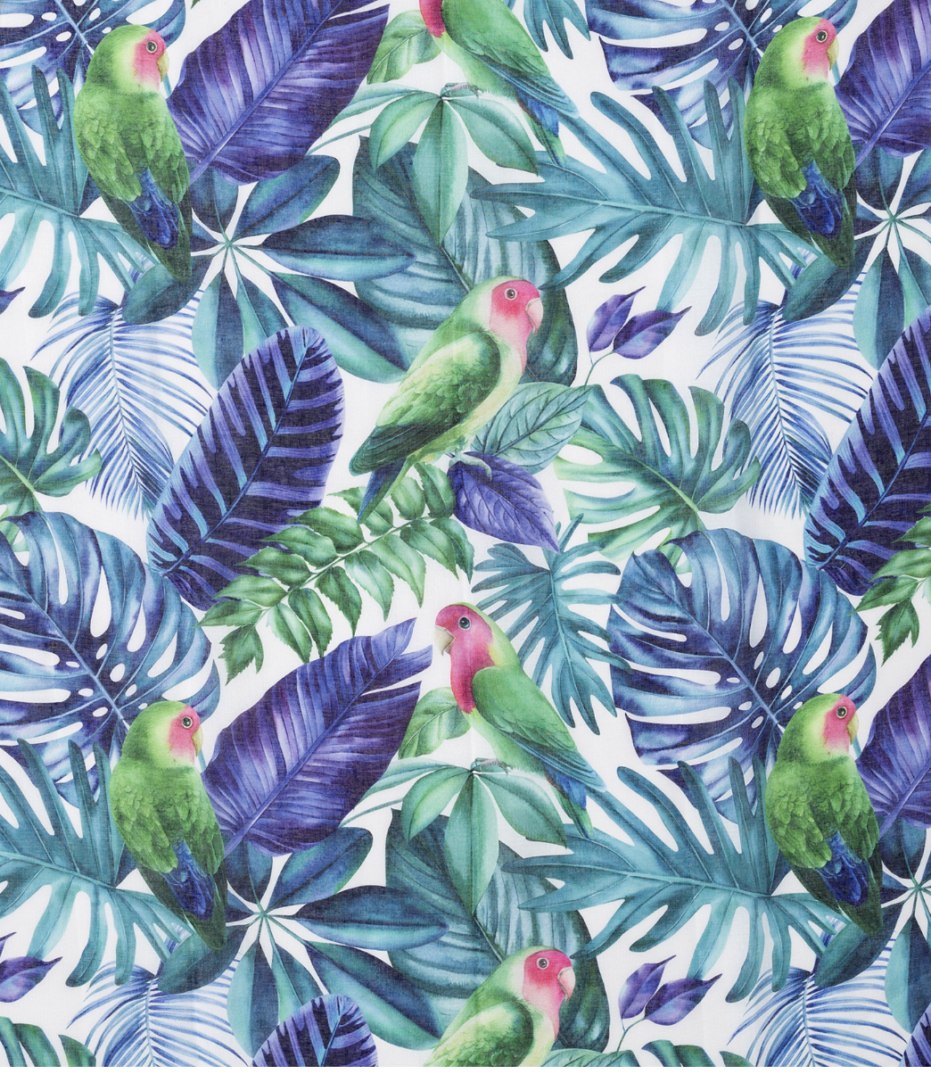 Scarf SC2900 Scarves and Sarongs Ivys