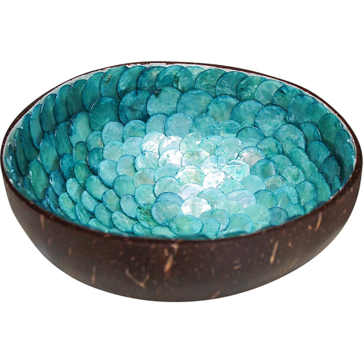 Coco Shell Corfu Gifts and Accessories Lavida