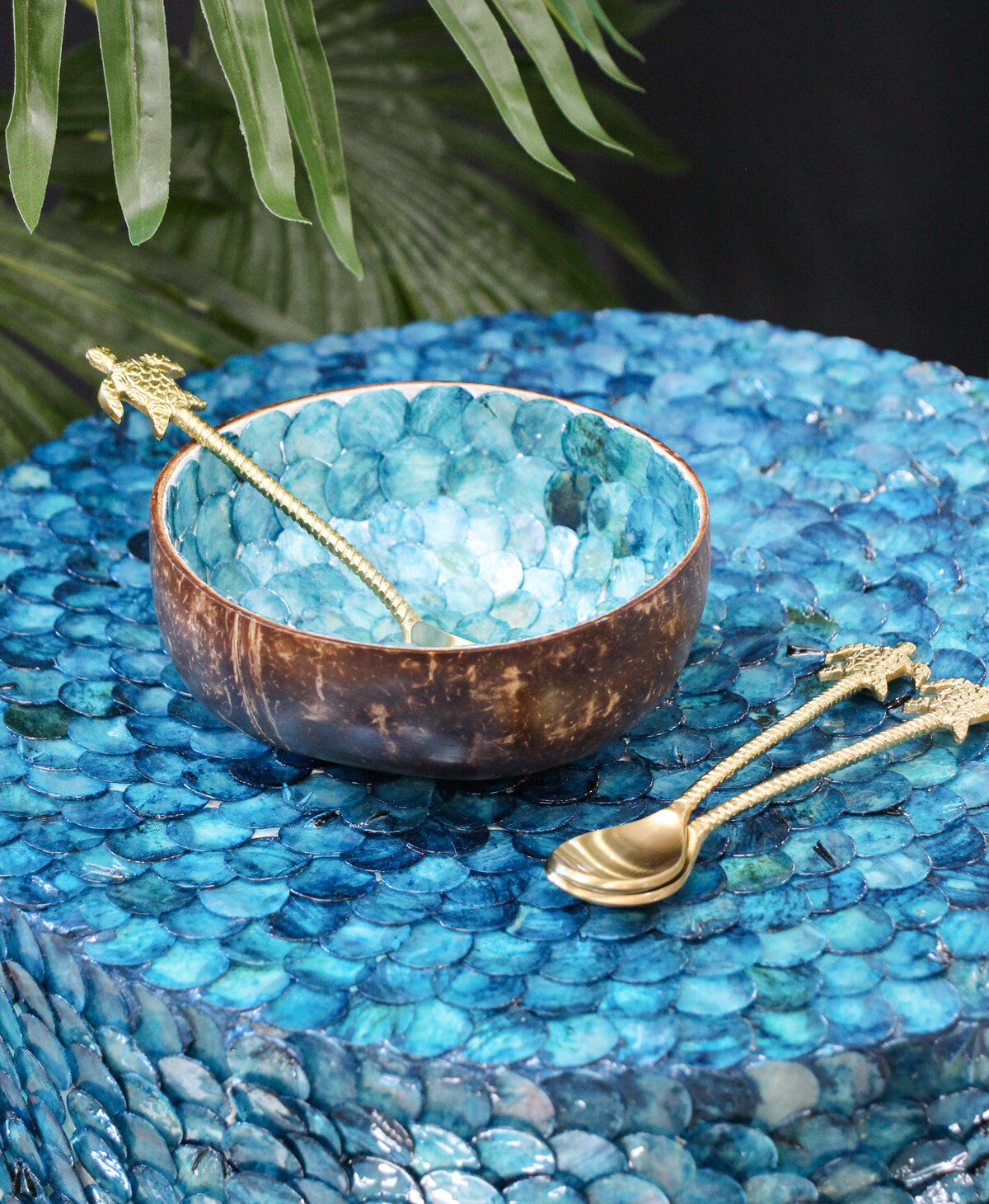 Coco Shell Corfu Gifts and Accessories Lavida