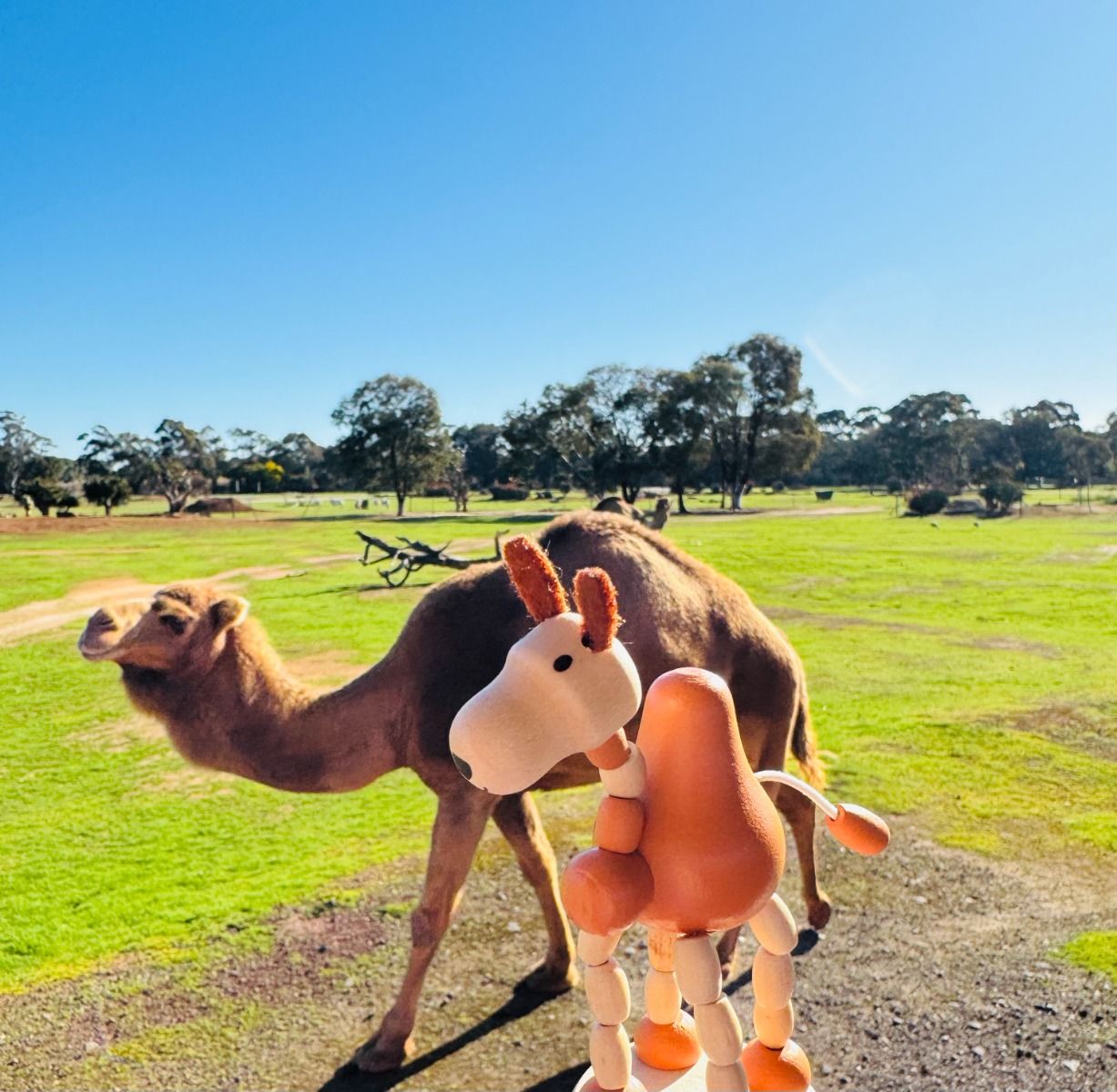 Wooden Press Toys-Animal Around the World Gifts and Accessories ToysLink