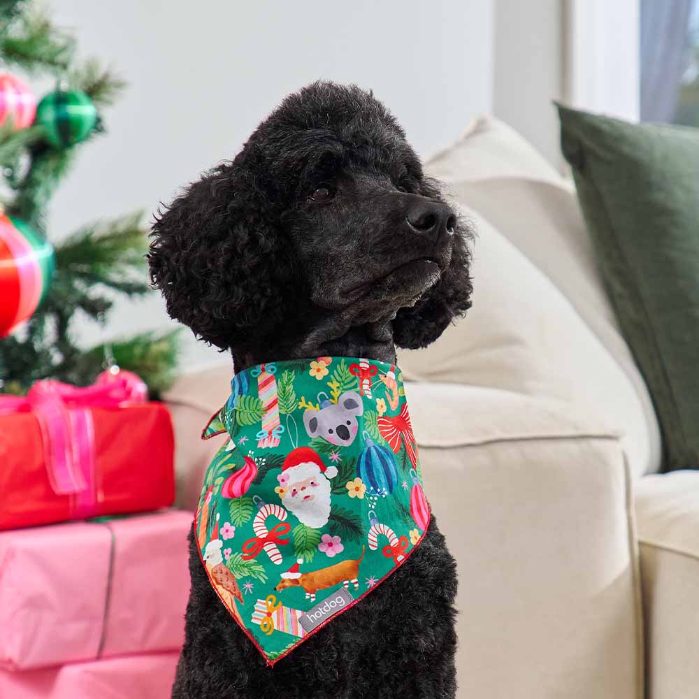 Hot Dog Bandana Cotton Deck the Palms Gifts and Accessories Annabel Trends