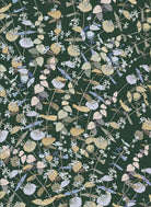 Botanicals by Edith Rewa: Gift Cards Cards and Wrap Adriana Picker