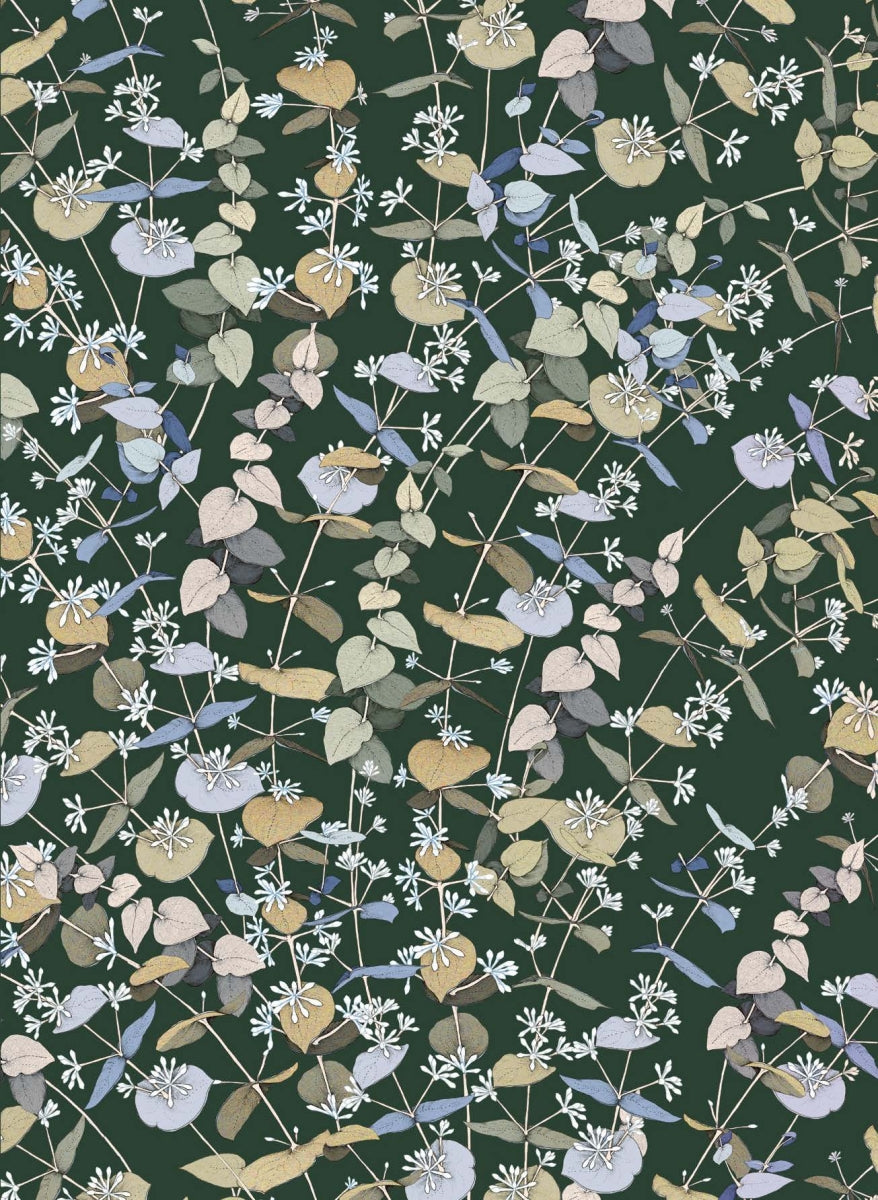 Botanicals by Edith Rewa: Gift Cards Cards and Wrap Adriana Picker