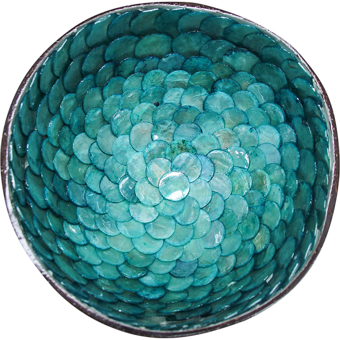 Coco Shell Corfu Gifts and Accessories Lavida