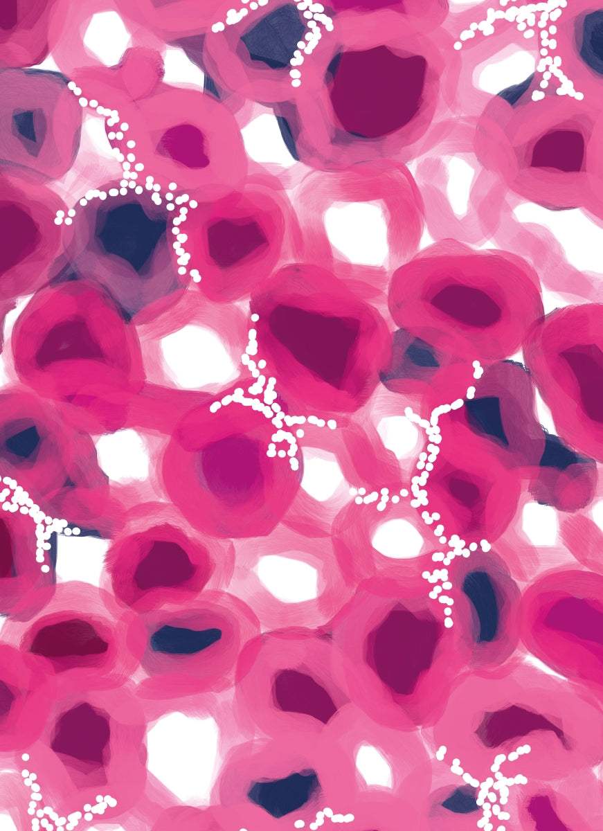 All Wrapped Up: Spirit by Rachael Sarra Gift Cards Cards and Wrap HARDIE & GRANT