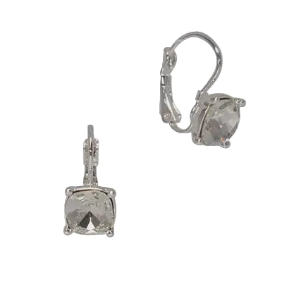 Classic Square Fw Earrings Silver/Clear Earrings Fabienne