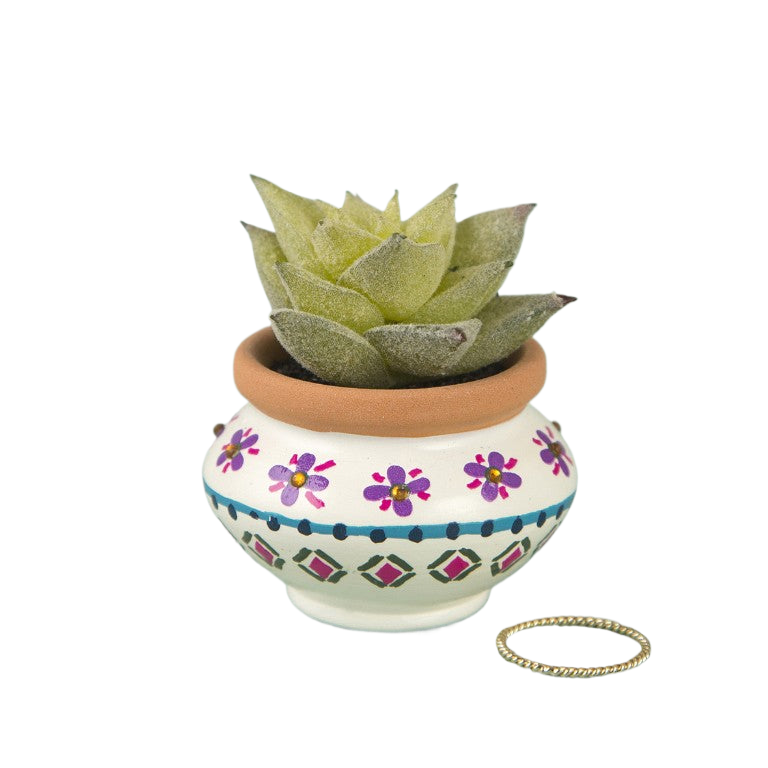 Natural Life Succulent Cream and Navy Gifts and Accessories Natural Life   