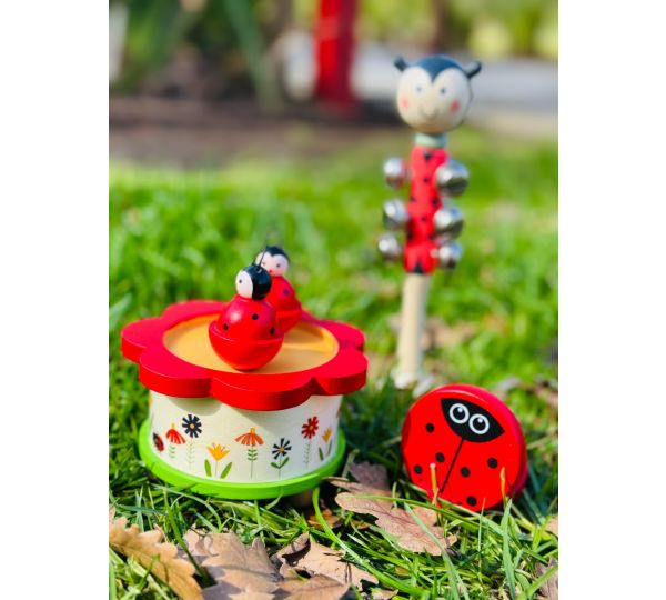 Music Box Twin Ladybug Gifts and Accessories ToysLink