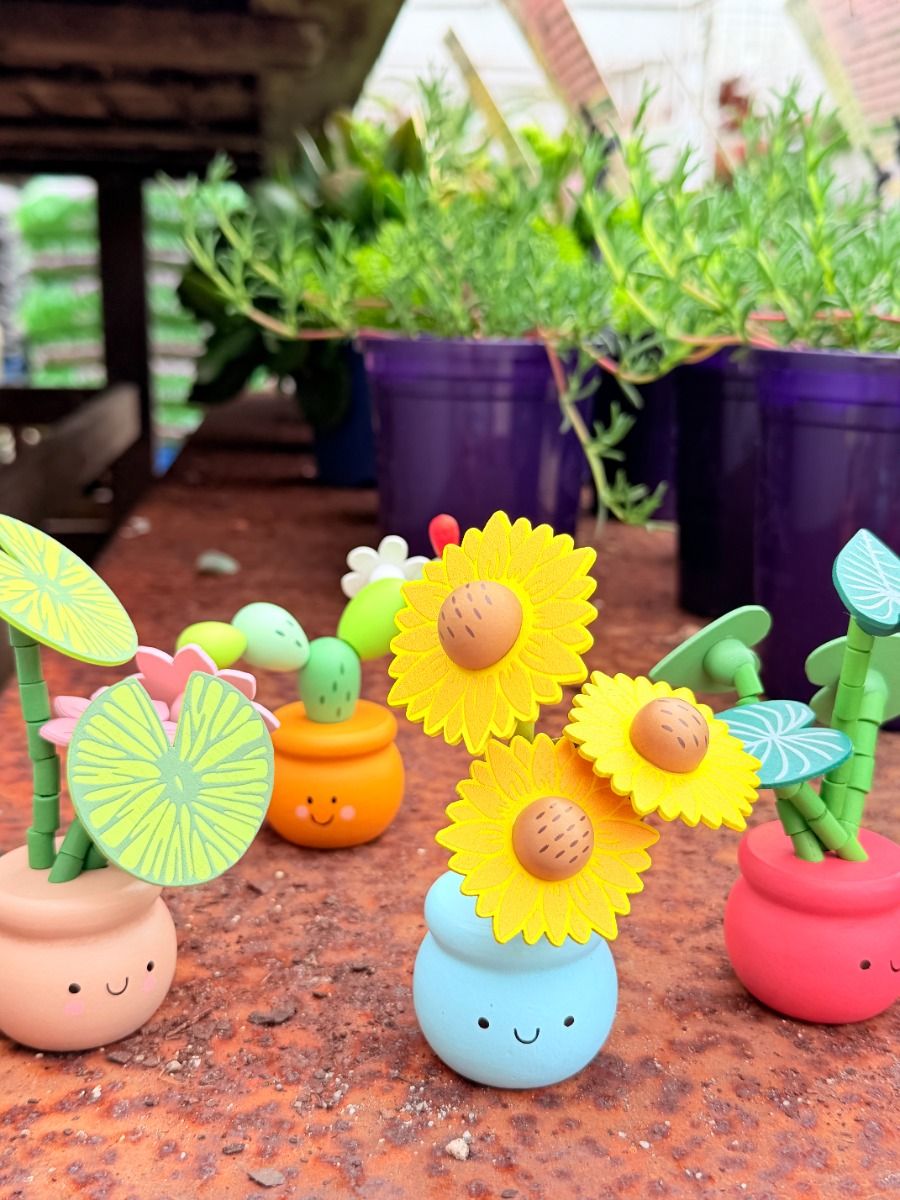 Wooden Plant Press Toy Gifts and Accessories ToysLink