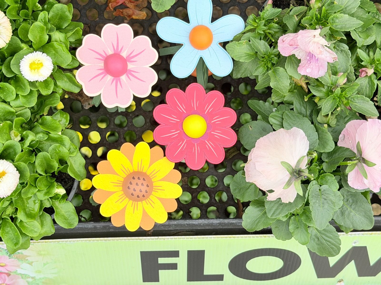 Wooden Flower Press Toy Gifts and Accessories ToysLink