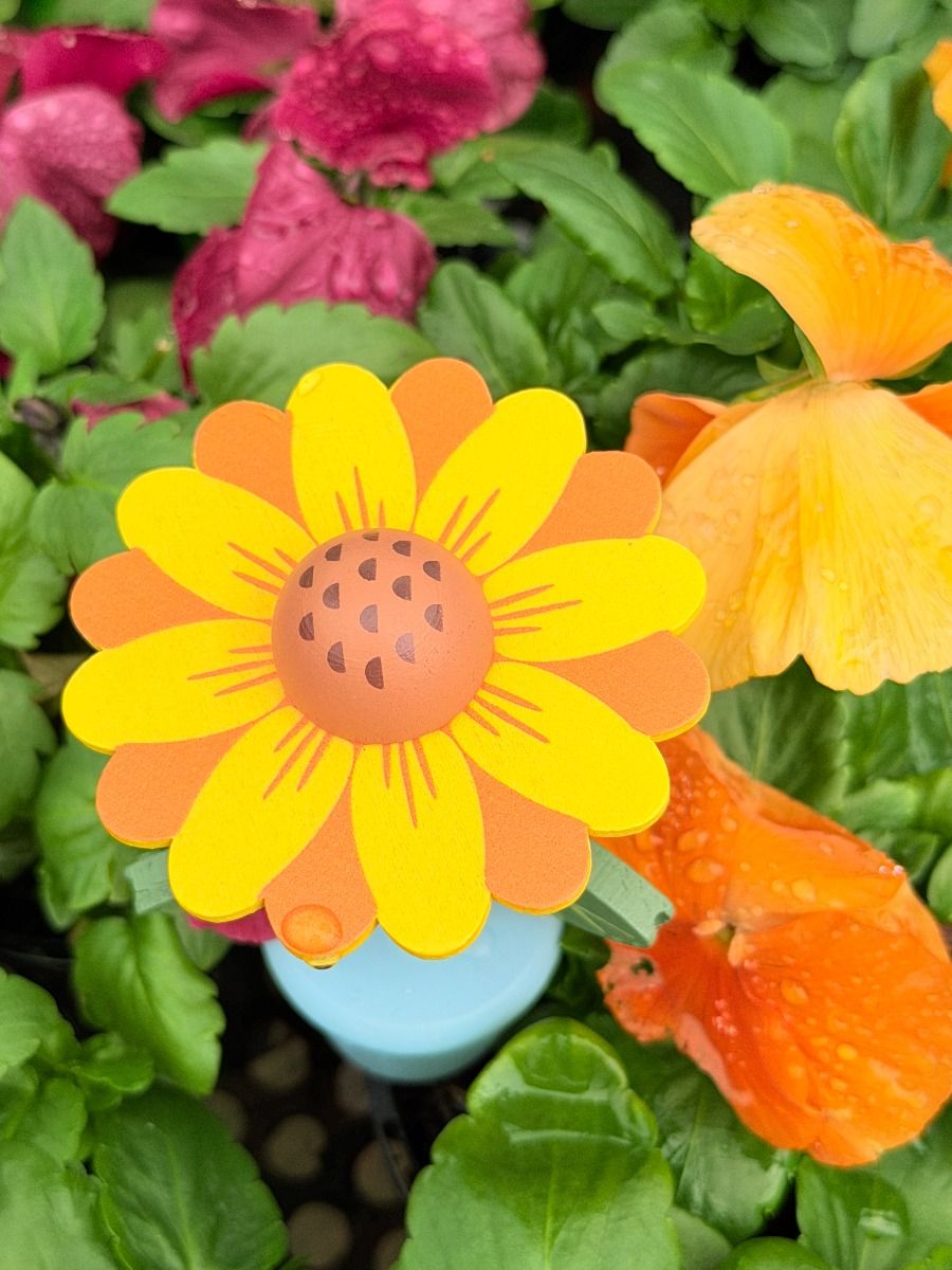 Wooden Flower Press Toy Gifts and Accessories ToysLink
