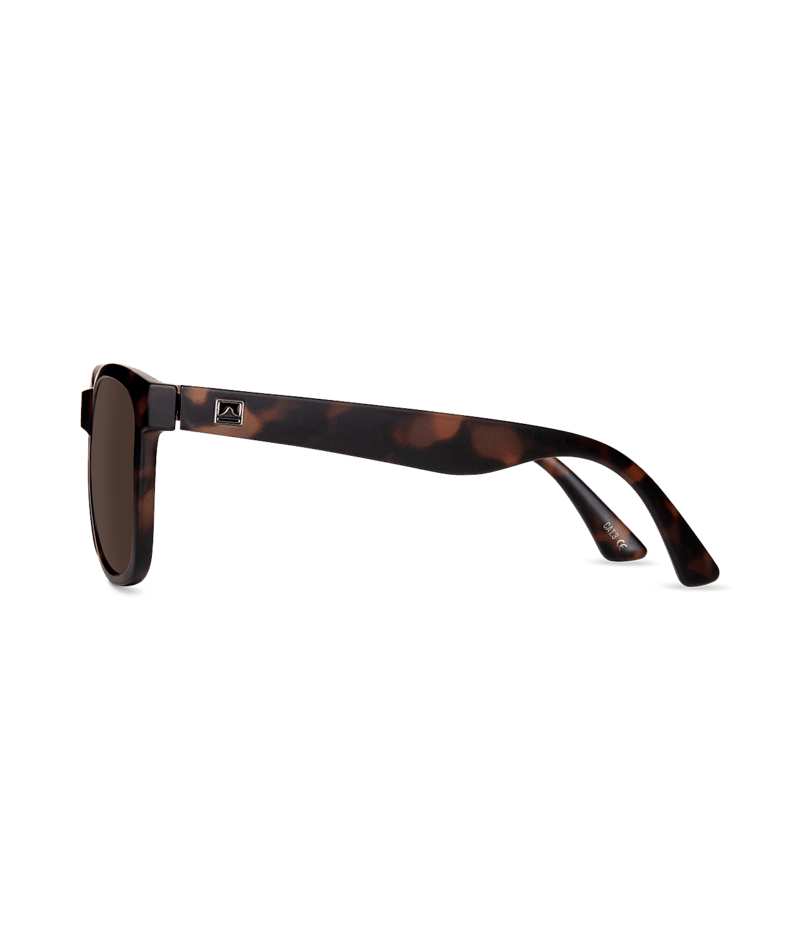 Mens Sunglass Tallows Tort Brown - Global Free Style
