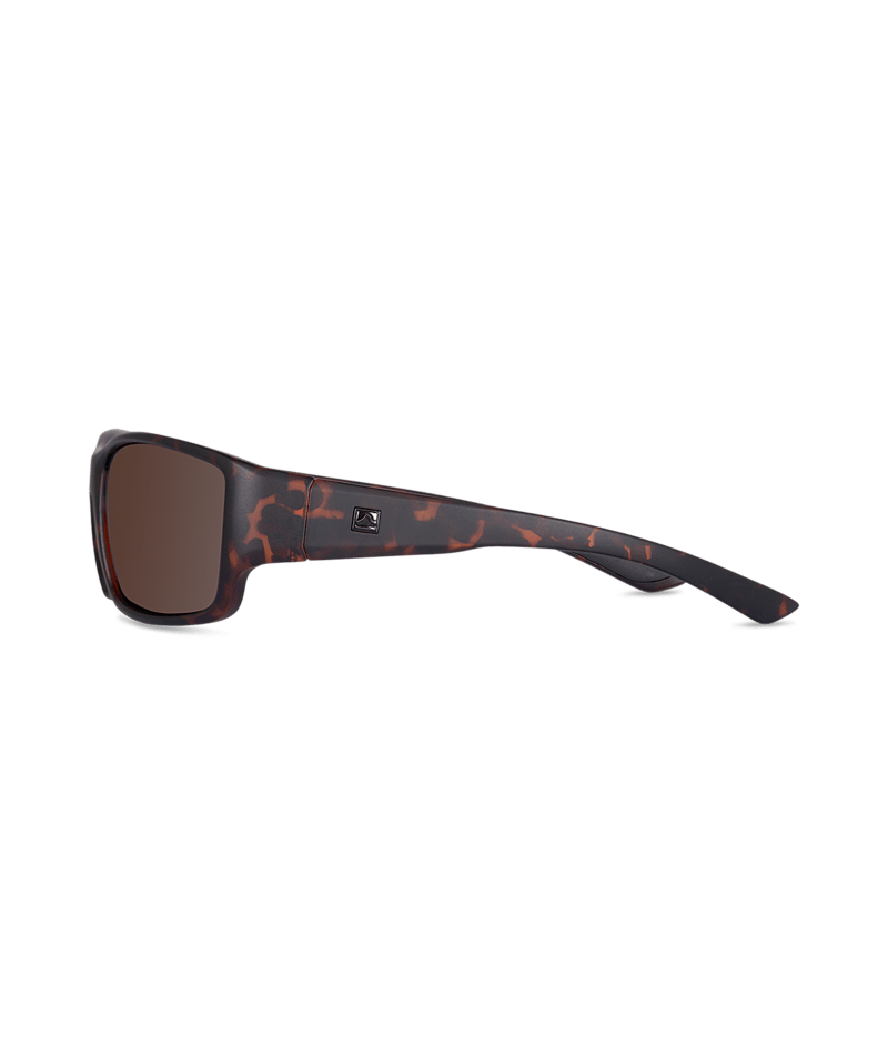 Mens Sunglass Stradbroke Tort Brown - Global Free Style