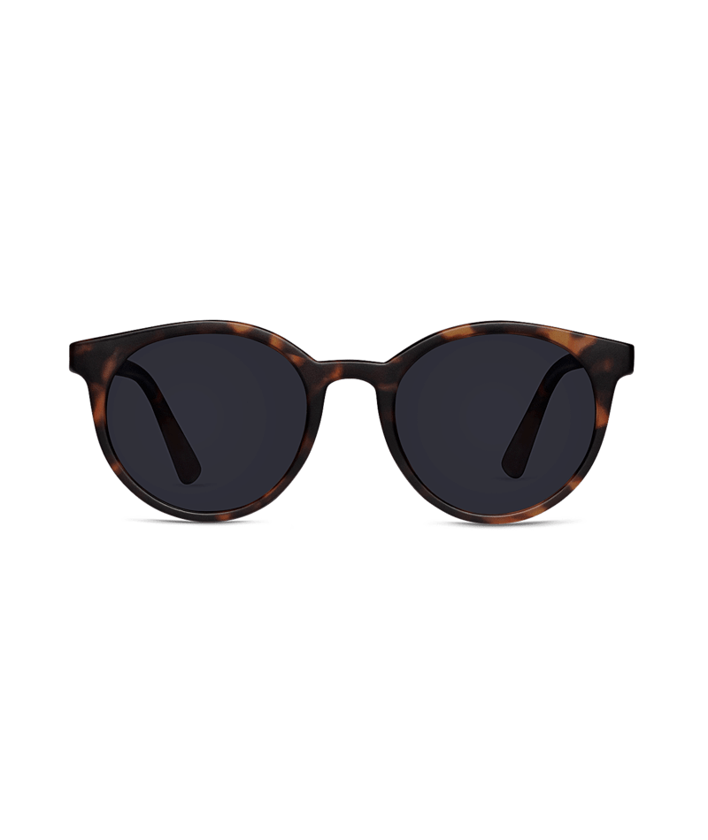 Universal Sunglass Cove Tort Smoke - Global Free Style