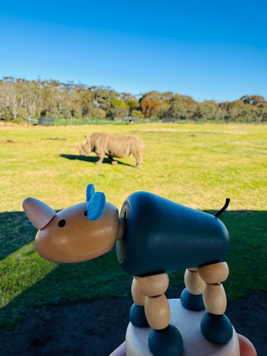 Wooden Press Toys-Animal Around the World Gifts and Accessories ToysLink