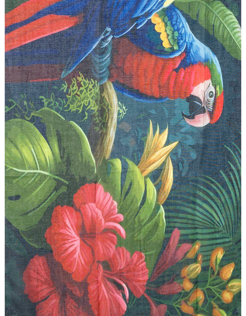 Scarf SC2101 Scarves and Sarongs Ivys