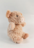 Curly Pig Soft Toy Pink 18cm - Global Free Style
