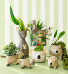 Platypus Planter Brown 15cm - Global Free Style