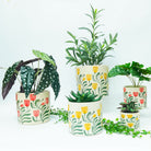 Pilbra Planter Green & Yellow Med 13cm - Global Free Style