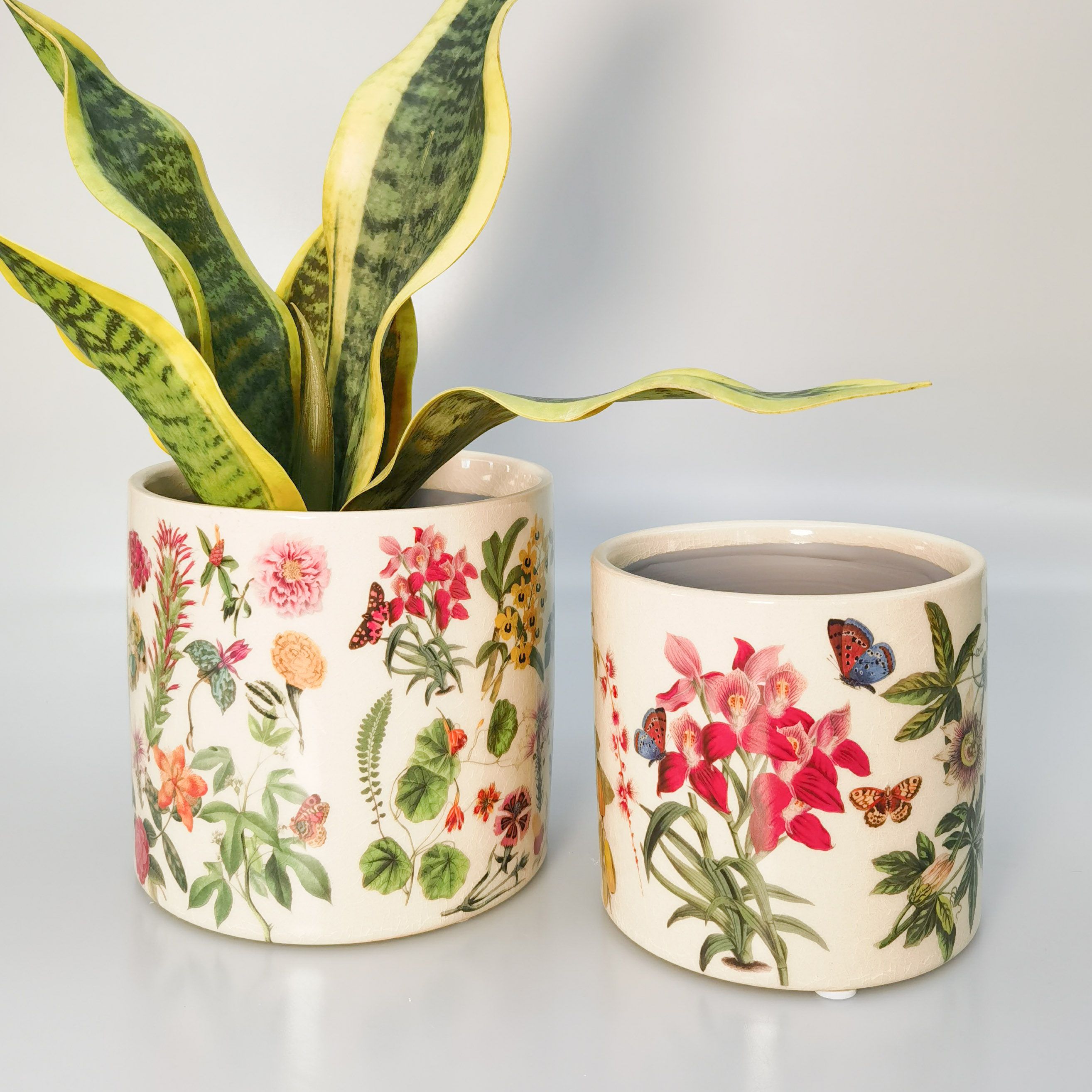 Botanicals Planter Green 14cm Gifts and Accessories Urban