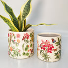 Botanicals Planter Green 14cm Gifts and Accessories Urban