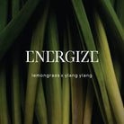 Energize Shower Steamer Body Wild Emery