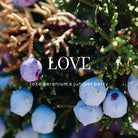 Love Shower Steamer Body Wild Emery